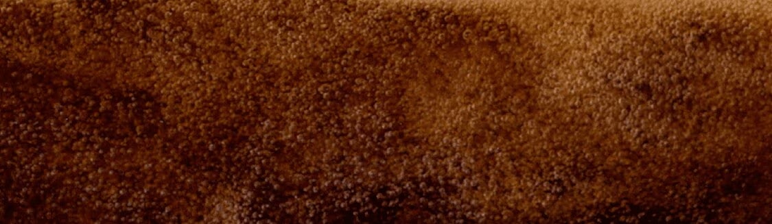 LUNGOS & AMERICANO  banner