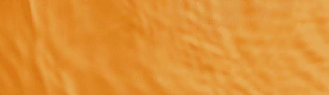¿Amante del té? banner