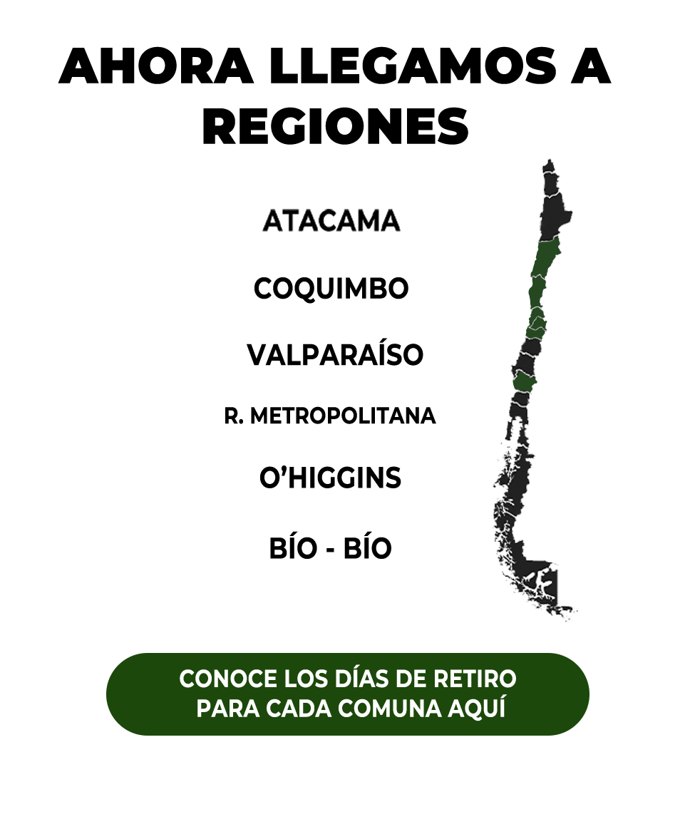 RECICLAPP WEBpng 1 1