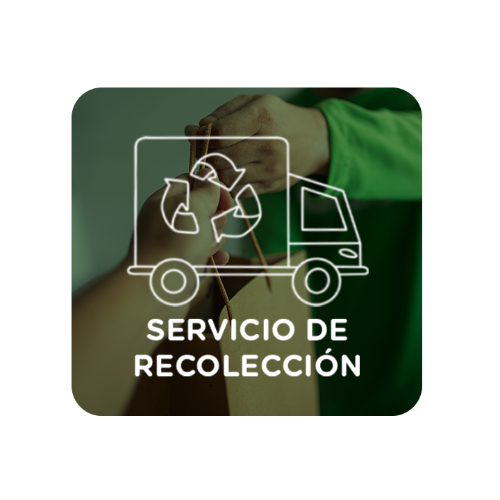 boton camion 2