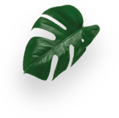 CAF&Eacute; LUNGO decoration Image